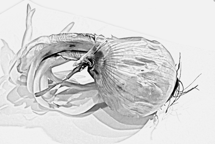 Onion manipulated