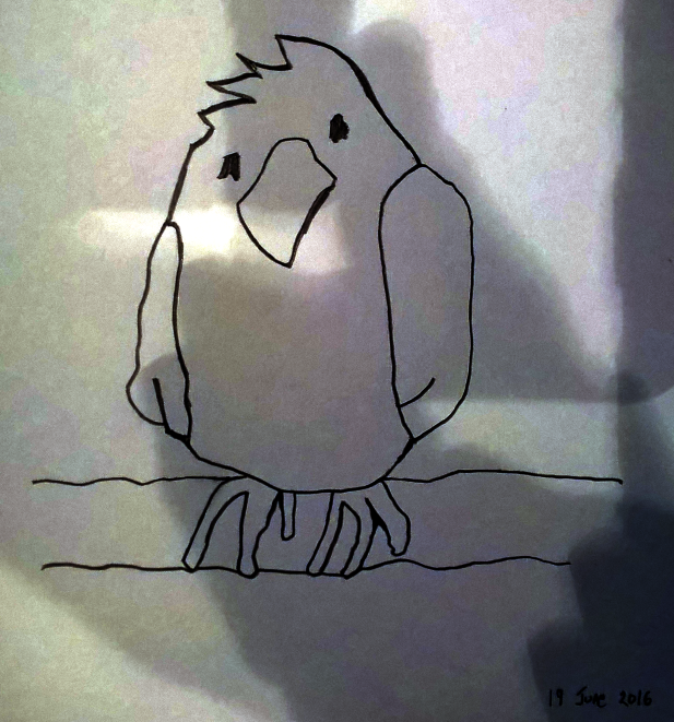 Owl drawing 1