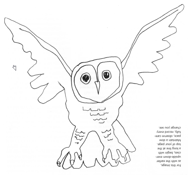 Another owl picture