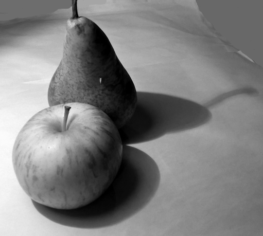 Fruit photo