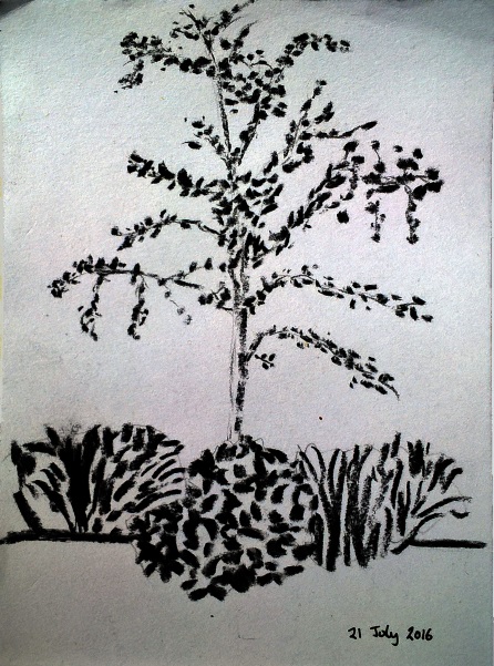 Small tree picture